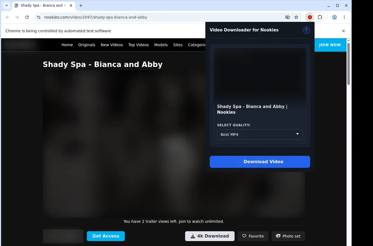 Nookies Video Downloader showing detected media ready to download