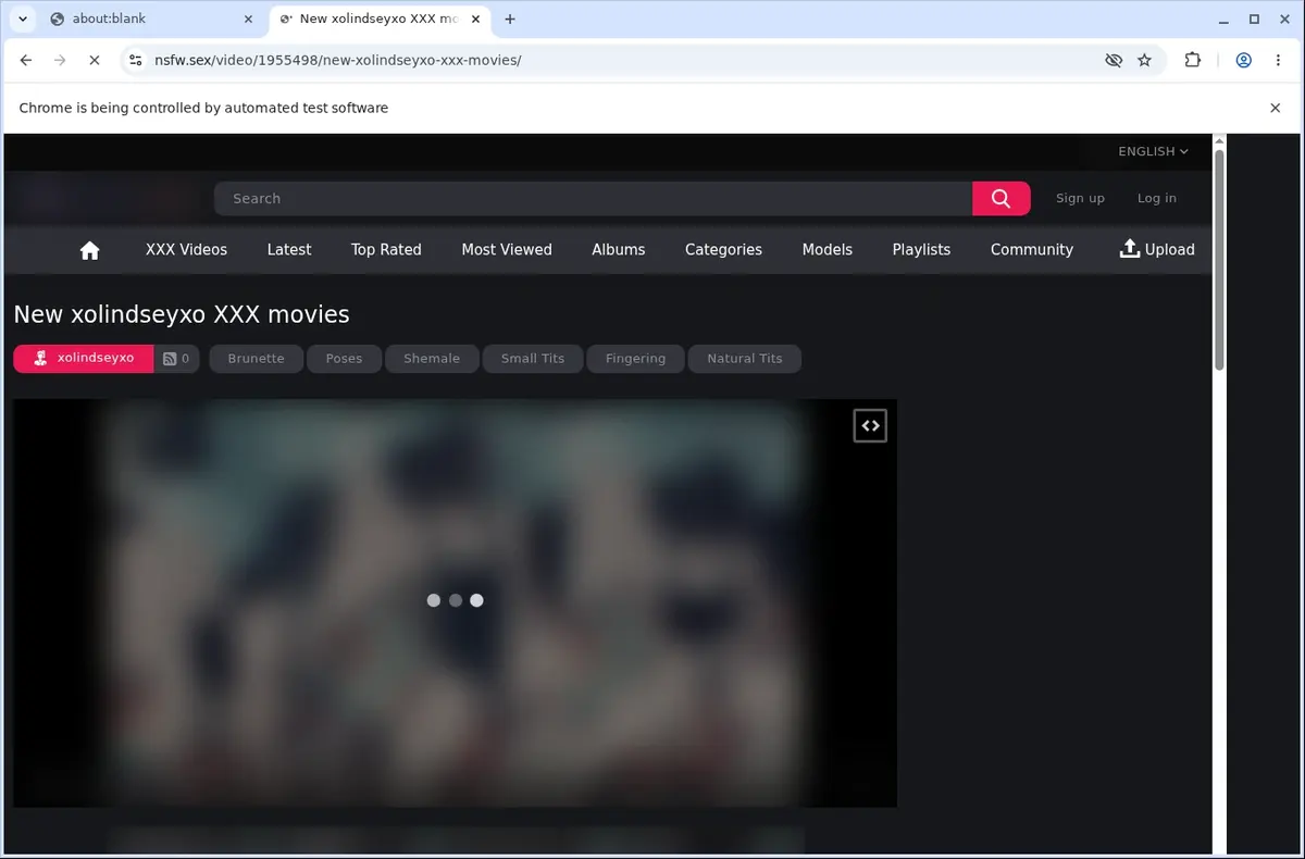 NSFW Downloader page open in the browser