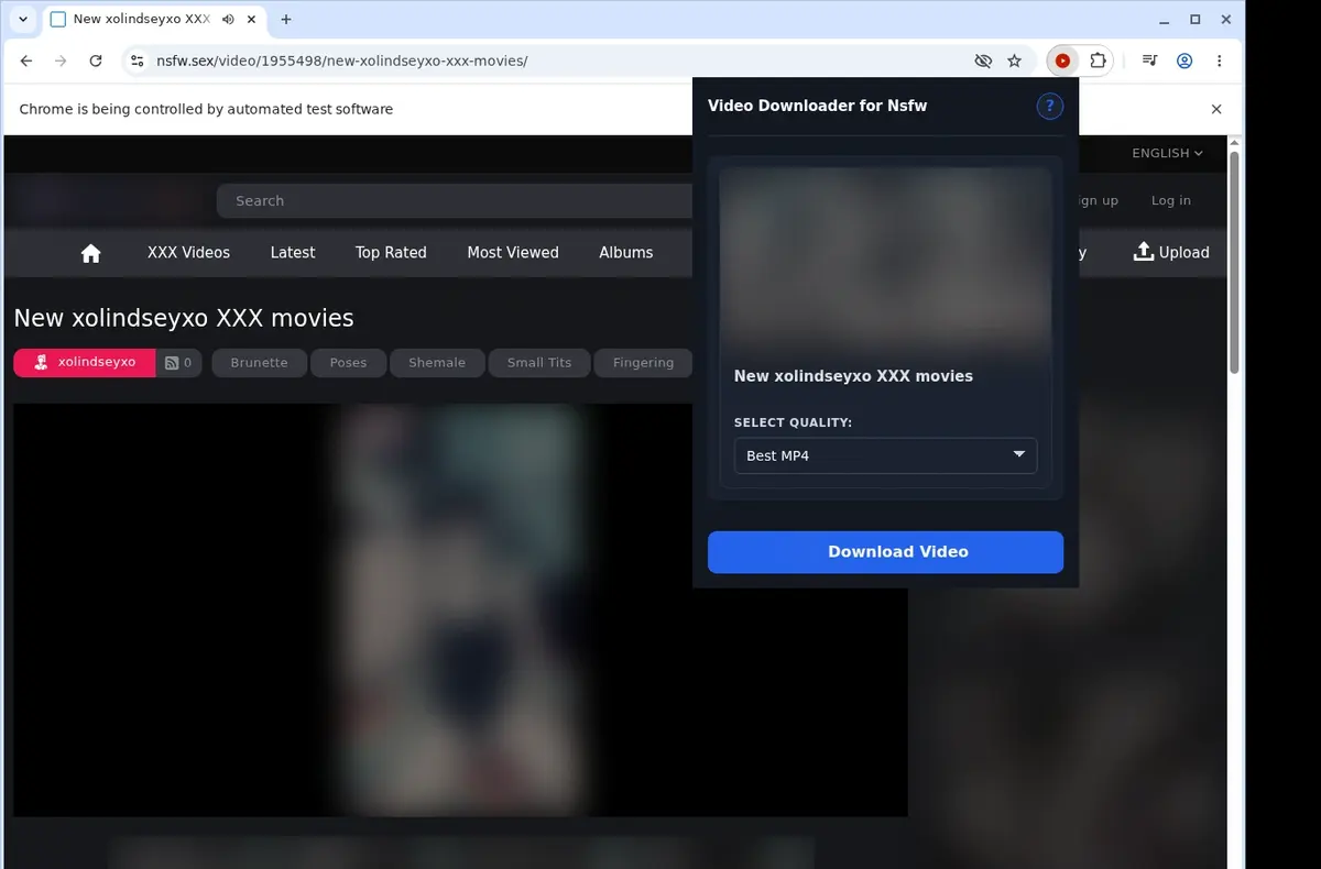 NSFW Downloader showing detected media ready to download