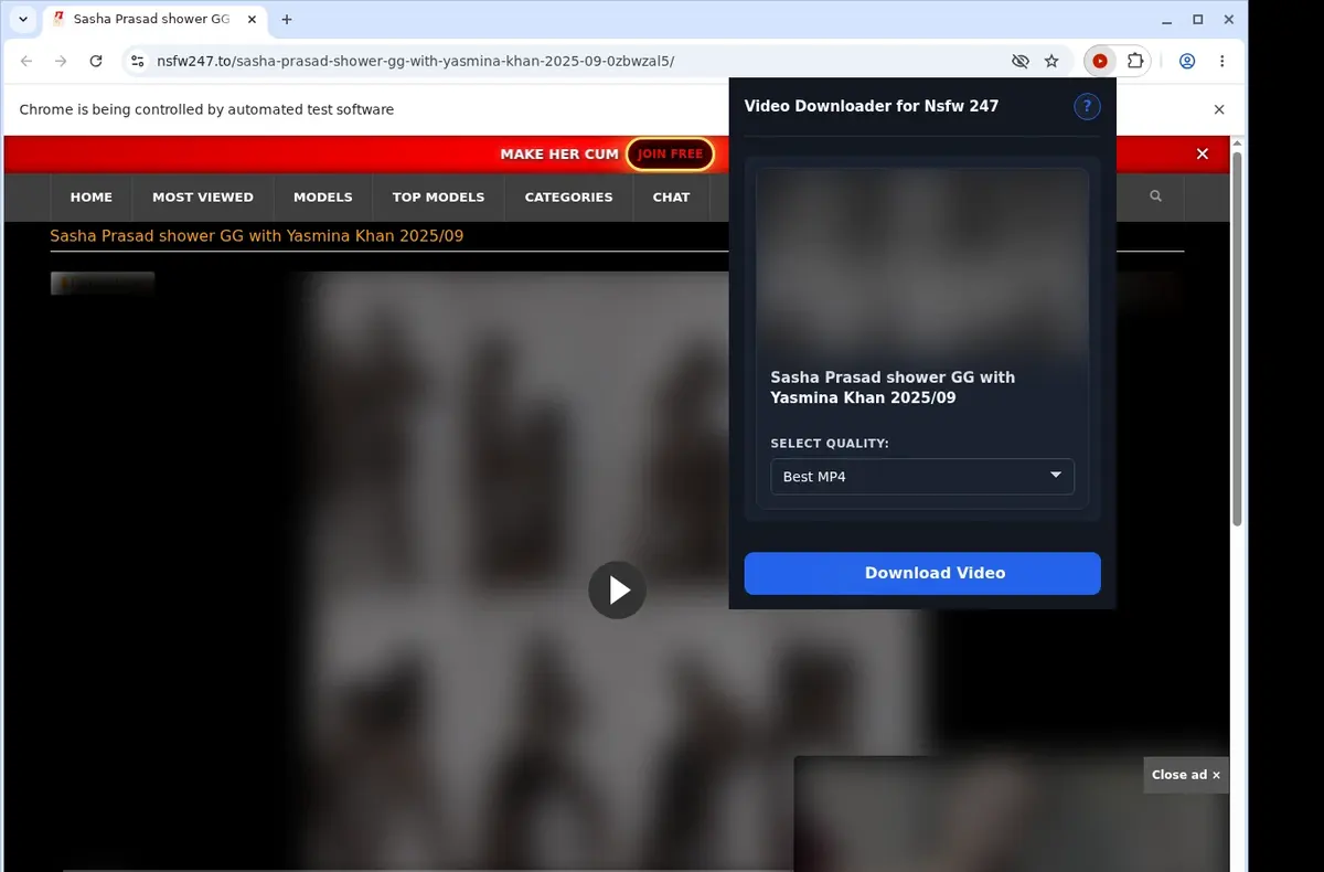 NSFW247 Video Downloader showing detected media ready to download