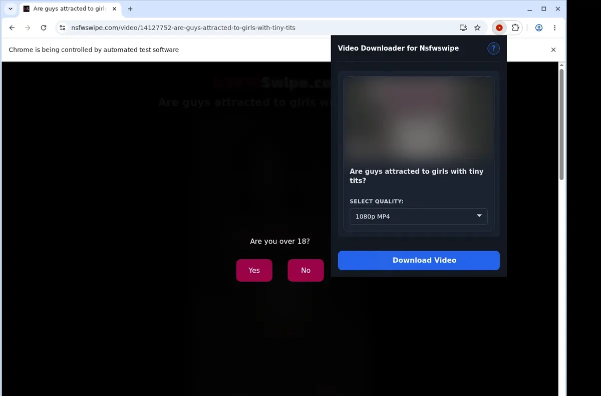 NSFWSwipe Video Downloader showing detected media ready to download
