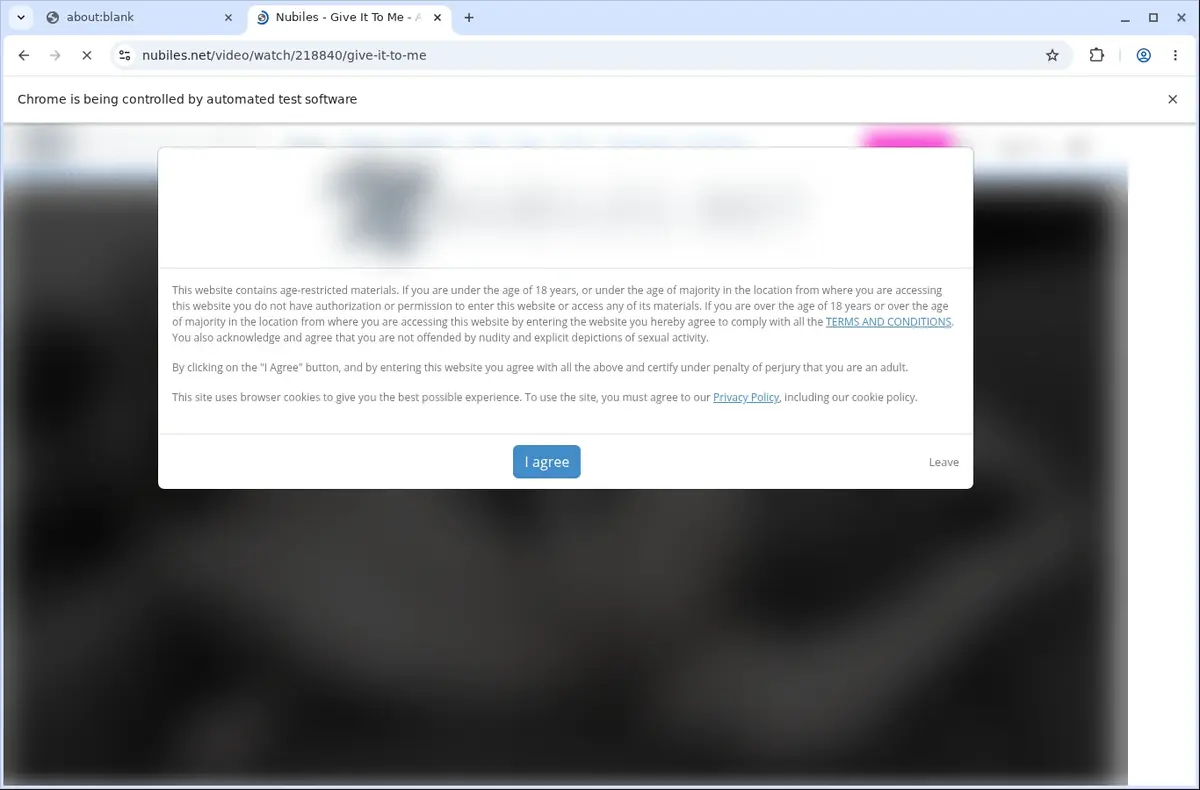 Nubiles Video Downloader page open in the browser