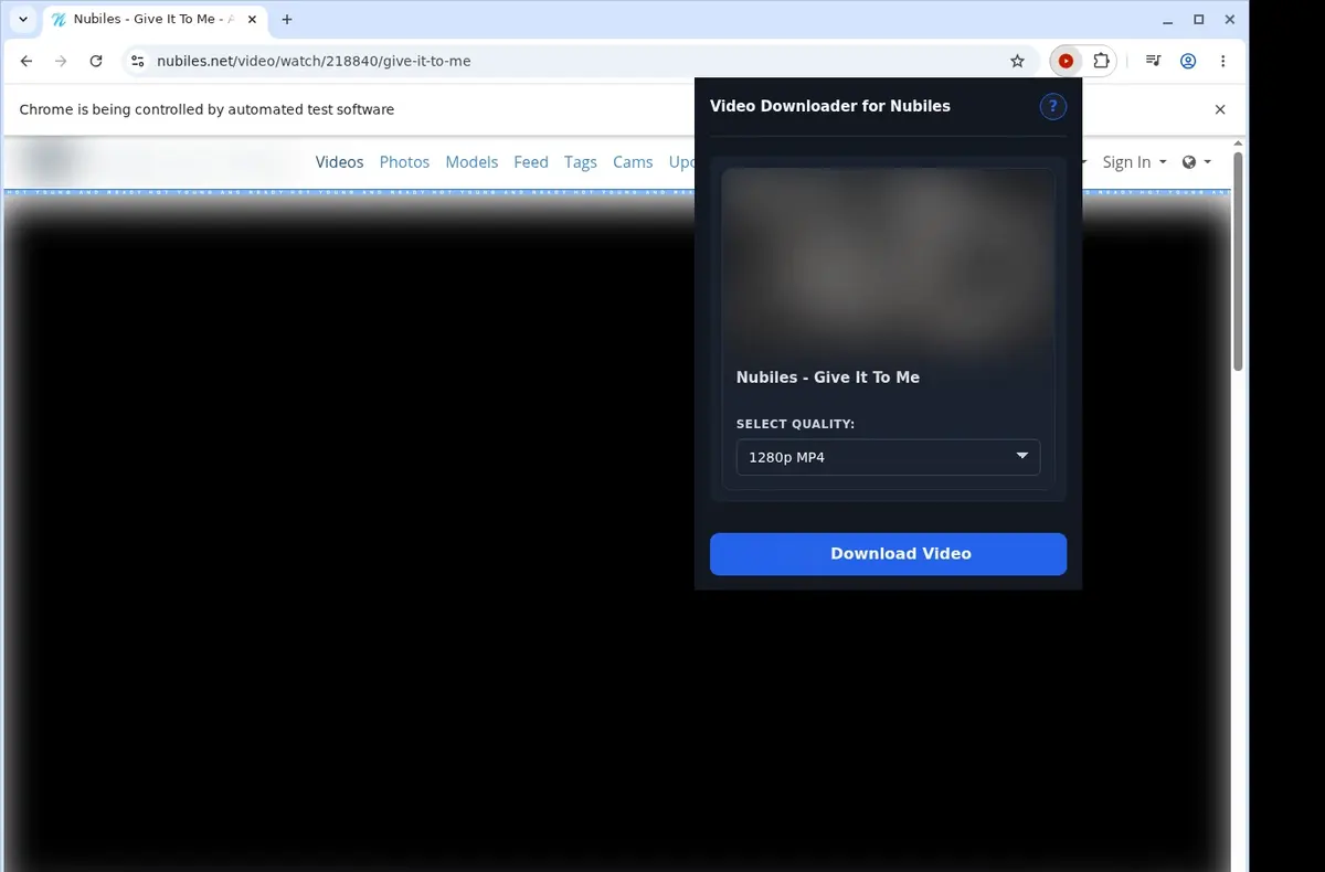 Nubiles Video Downloader showing detected media ready to download