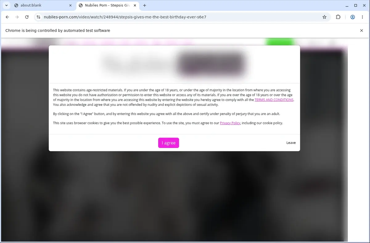 NubilesPorn Video Downloader page open in the browser