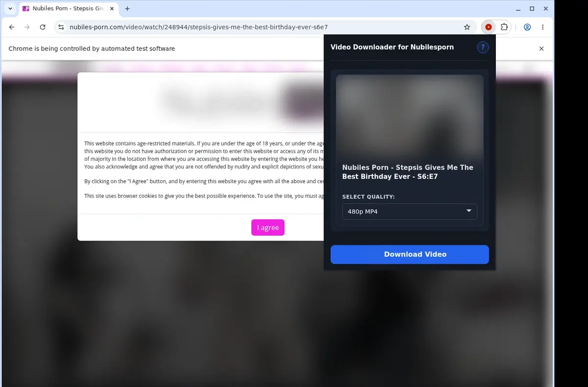 NubilesPorn Video Downloader showing detected media ready to download