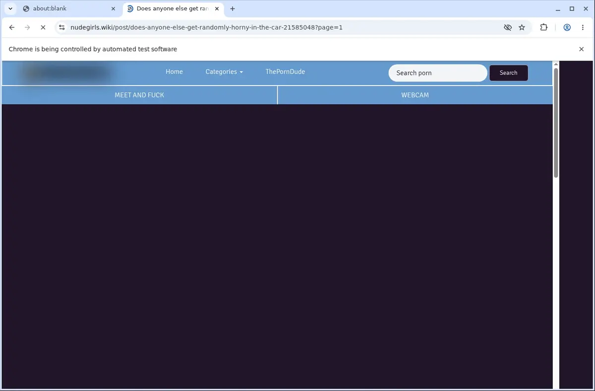 NudeGirls Video Downloader page open in the browser