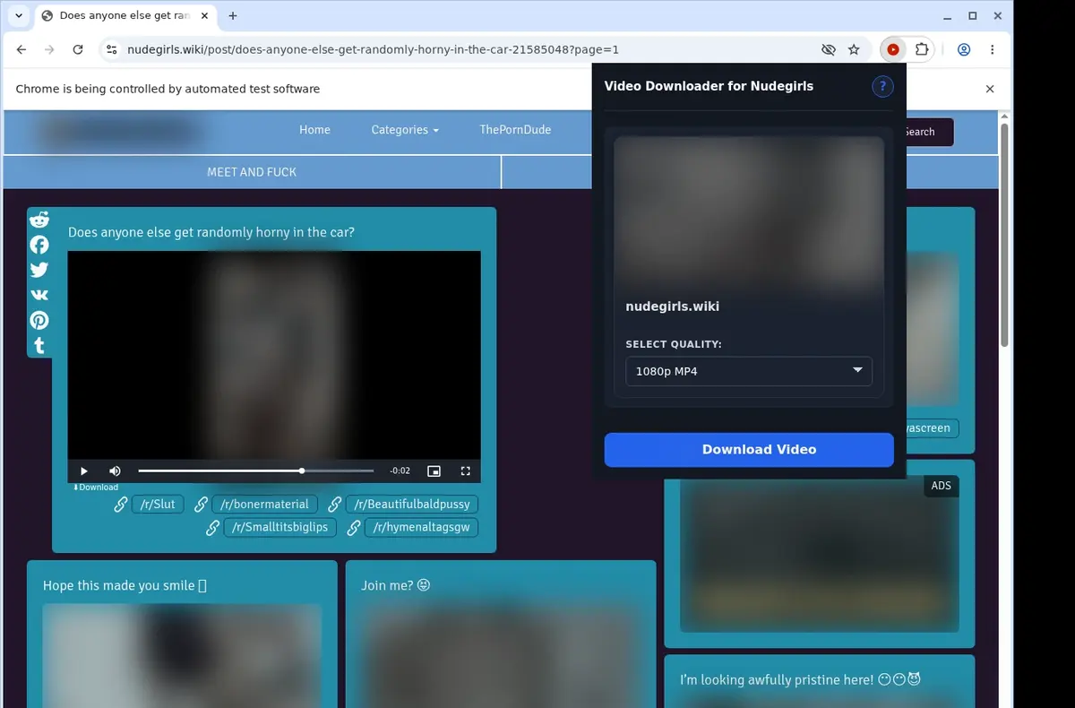 NudeGirls Video Downloader showing detected media ready to download