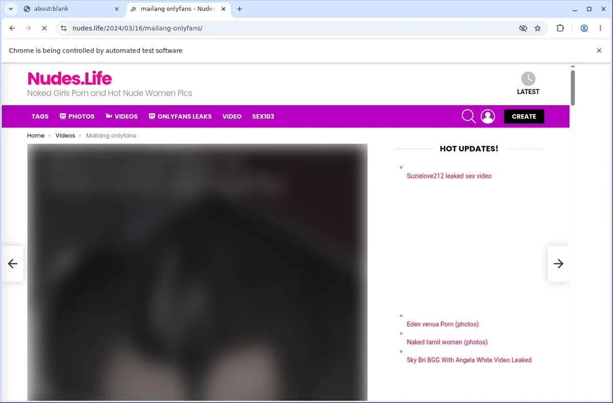 Nudes Downloader page open in the browser