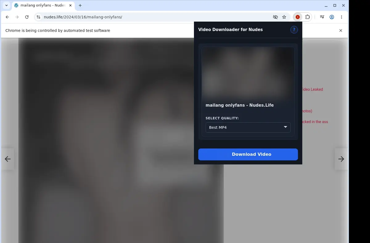 Nudes Downloader showing detected media ready to download