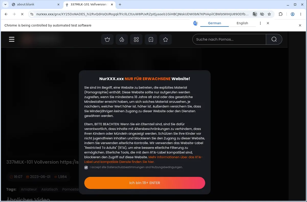 NurXXX Video Downloader page open in the browser