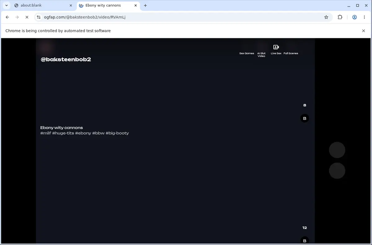 Ogfap Downloader page open in the browser