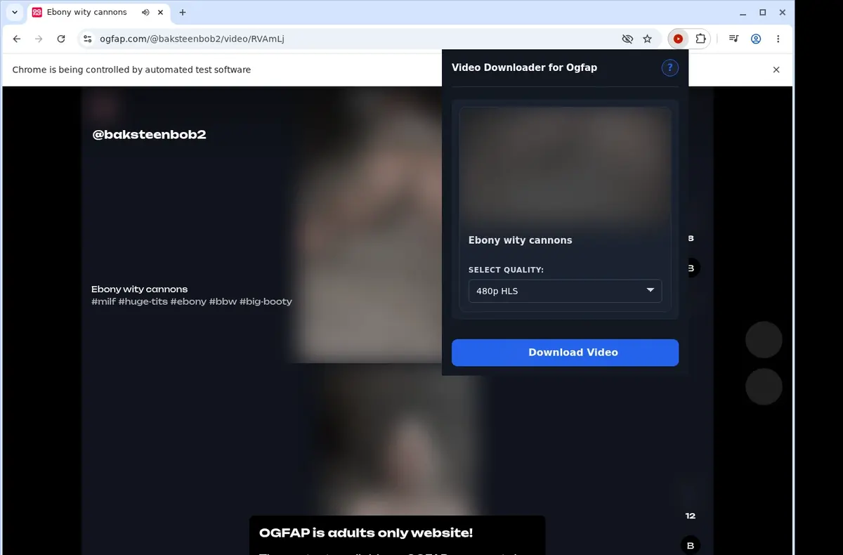 Ogfap Downloader showing detected media ready to download