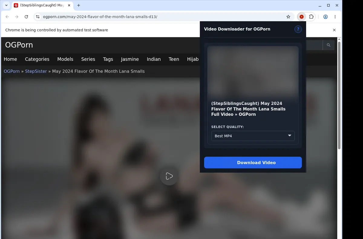 OGPorn Downloader showing detected media ready to download