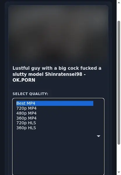 OK Porn Downloader format dropdown options