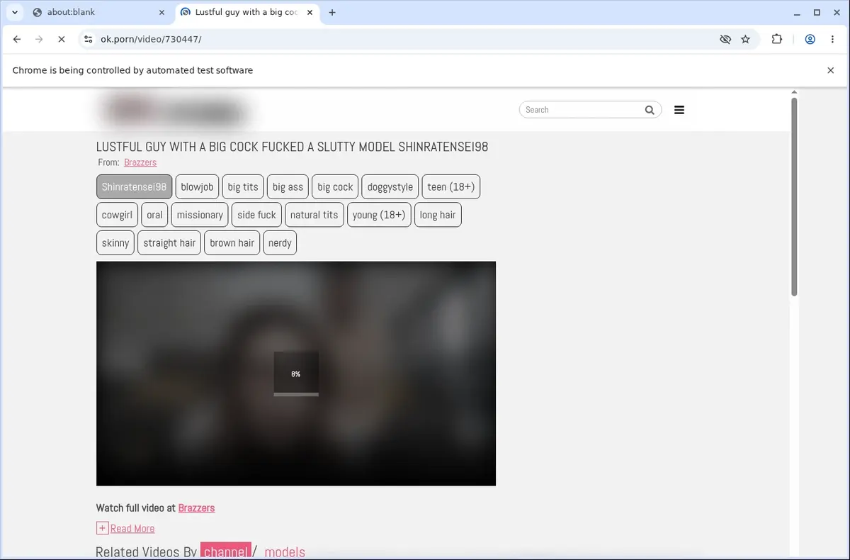 OK Porn Downloader page open in the browser