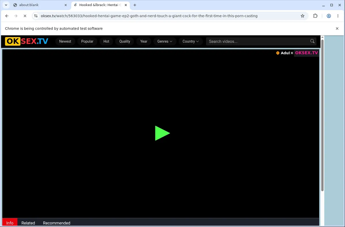 OKSex Video Downloader page open in the browser