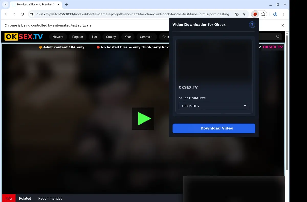 OKSex Video Downloader showing detected media ready to download