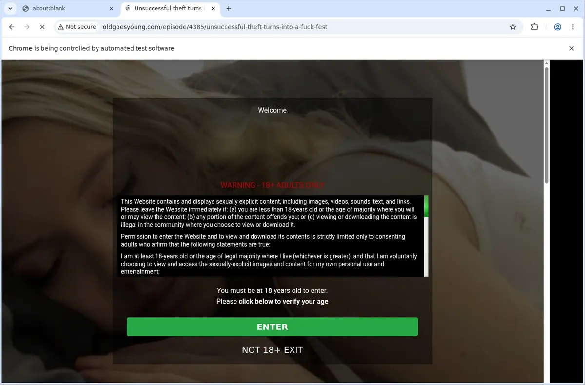 OldGoesYoung Video Downloader page open in the browser