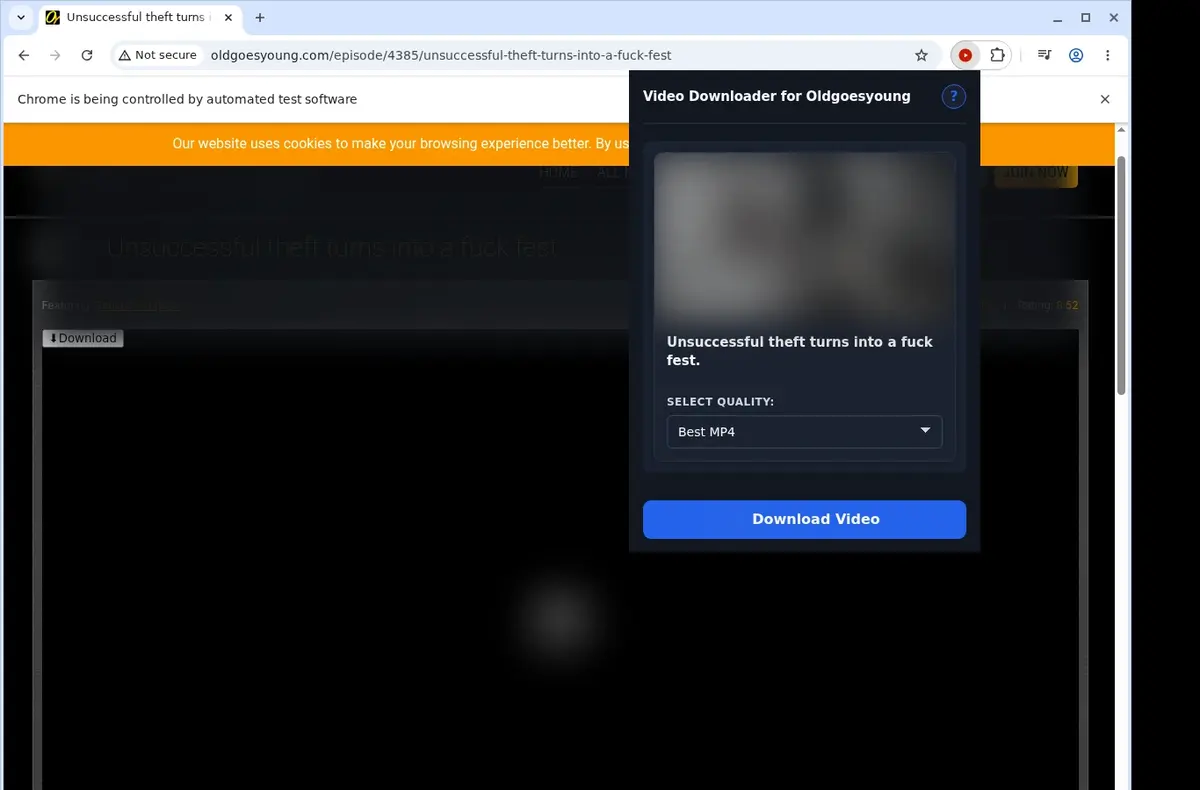 OldGoesYoung Video Downloader showing detected media ready to download