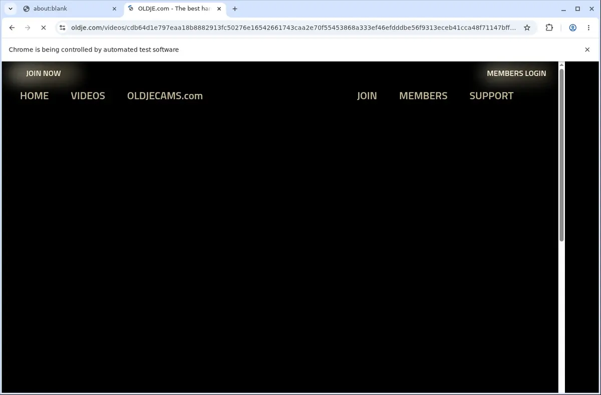 Oldje Video Downloader page open in the browser