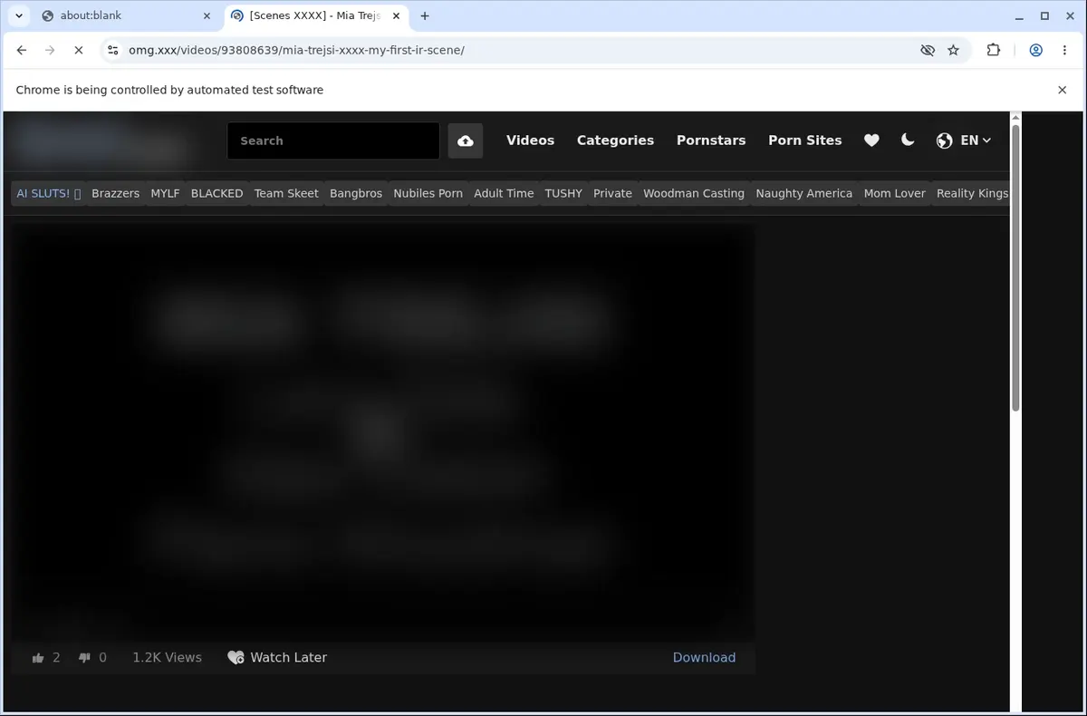 OMG XXX Downloader page open in the browser