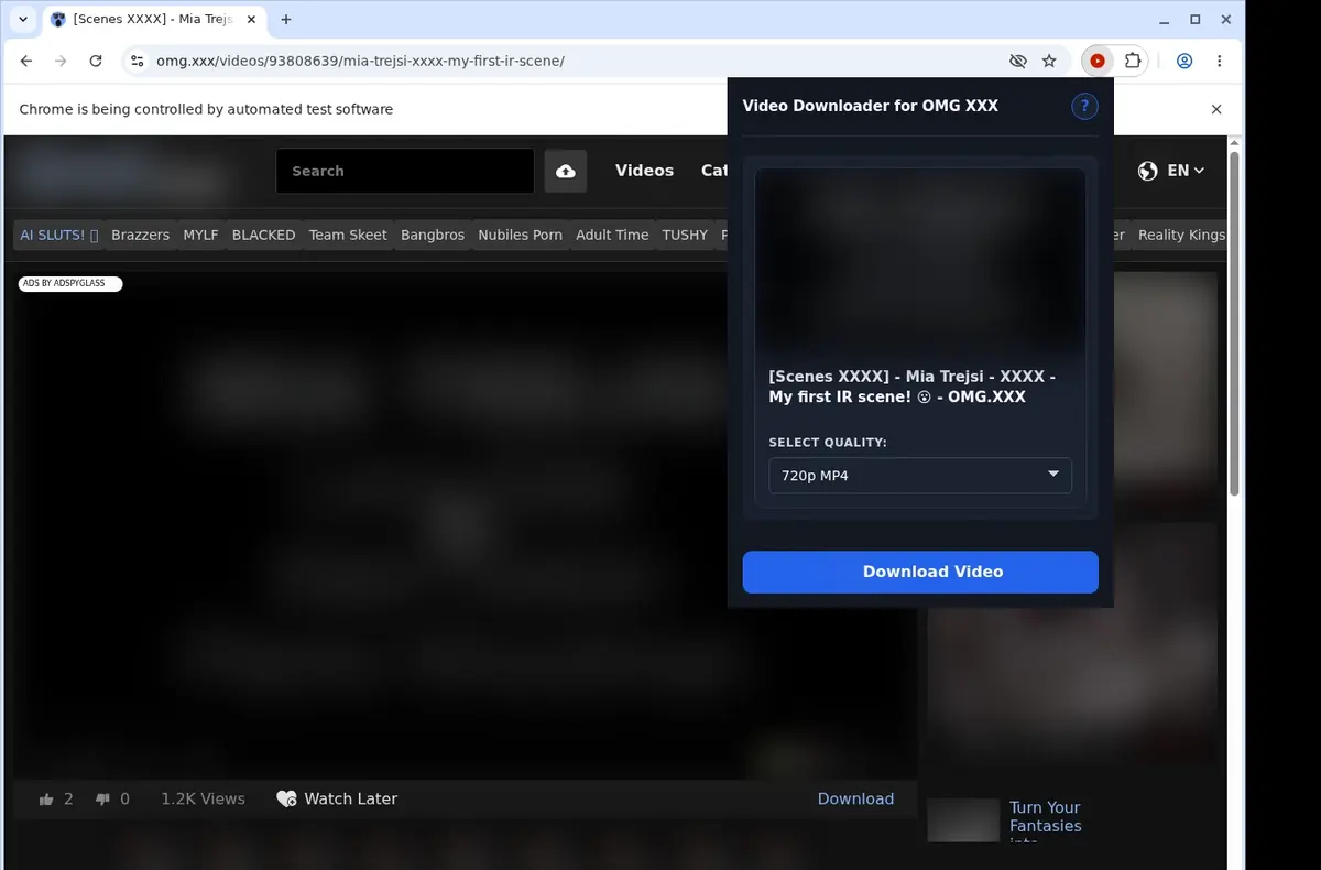 OMG XXX Downloader showing detected media ready to download