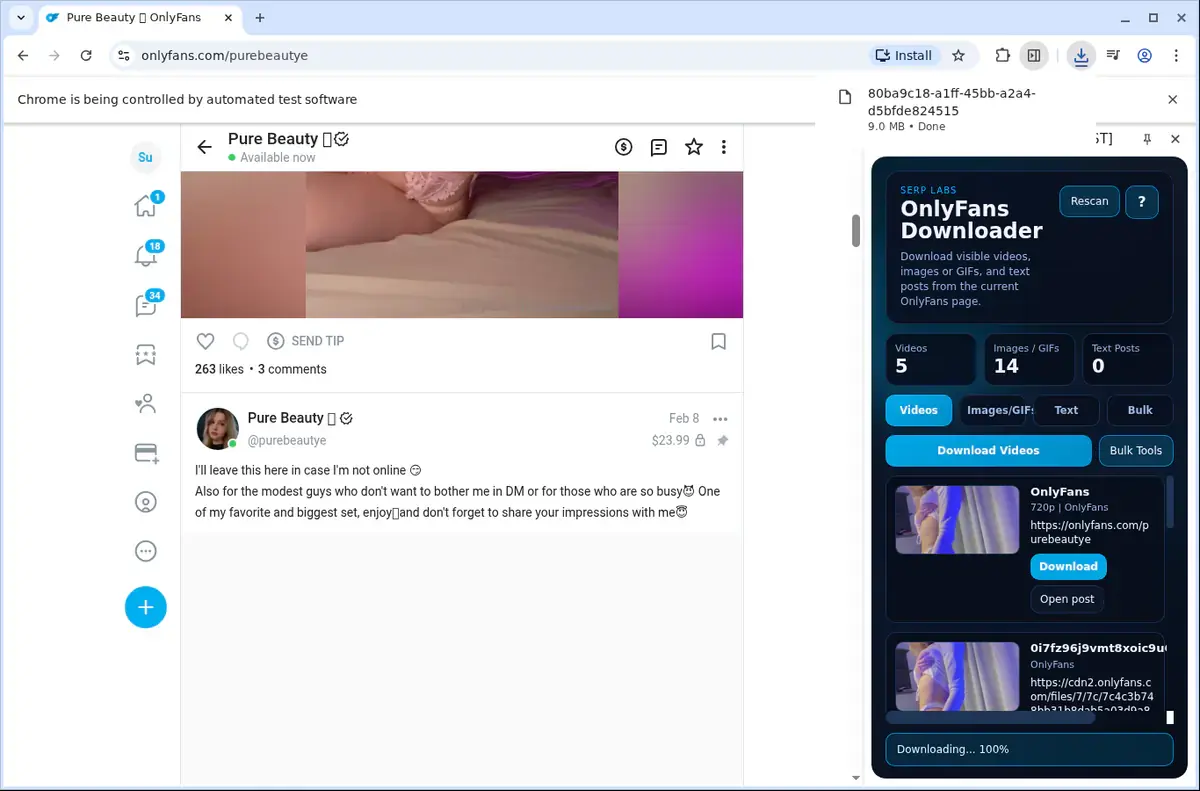 OnlyFans Downloader download progress panel