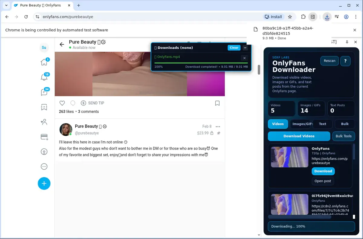 OnlyFans Downloader showing detected media ready to download