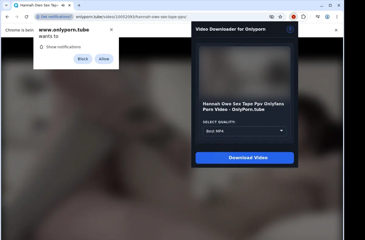 OnlyPorn Video Downloader showing detected media ready to download