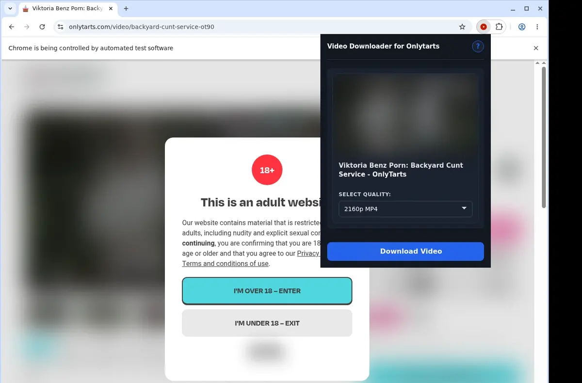 OnlyTarts Video Downloader showing detected media ready to download