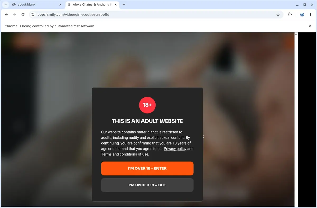 OopsFamily Video Downloader page open in the browser