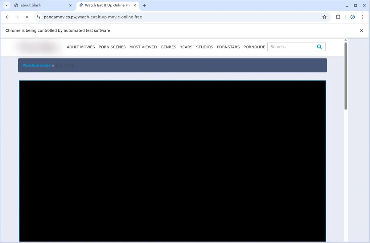 PandaMovies Downloader page open in the browser