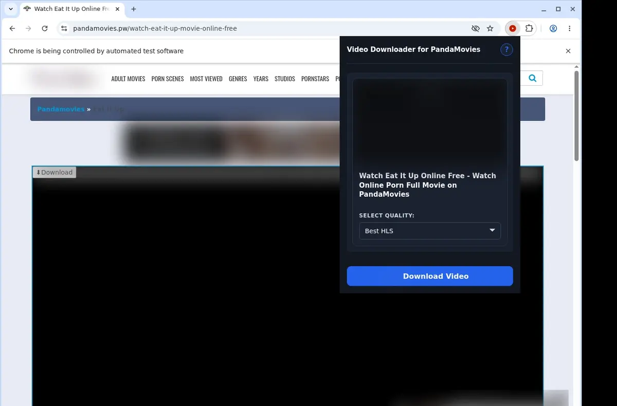 PandaMovies Downloader showing detected media ready to download