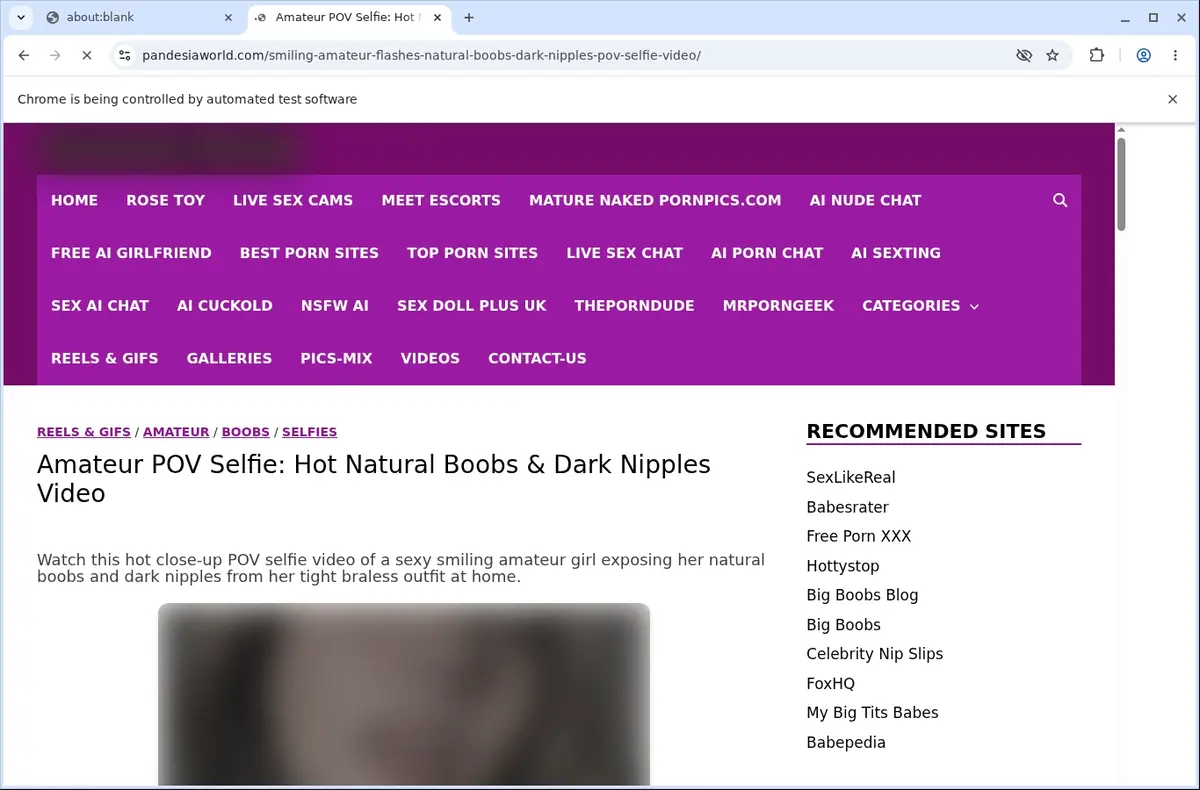 PandesiaWorld Video Downloader page open in the browser