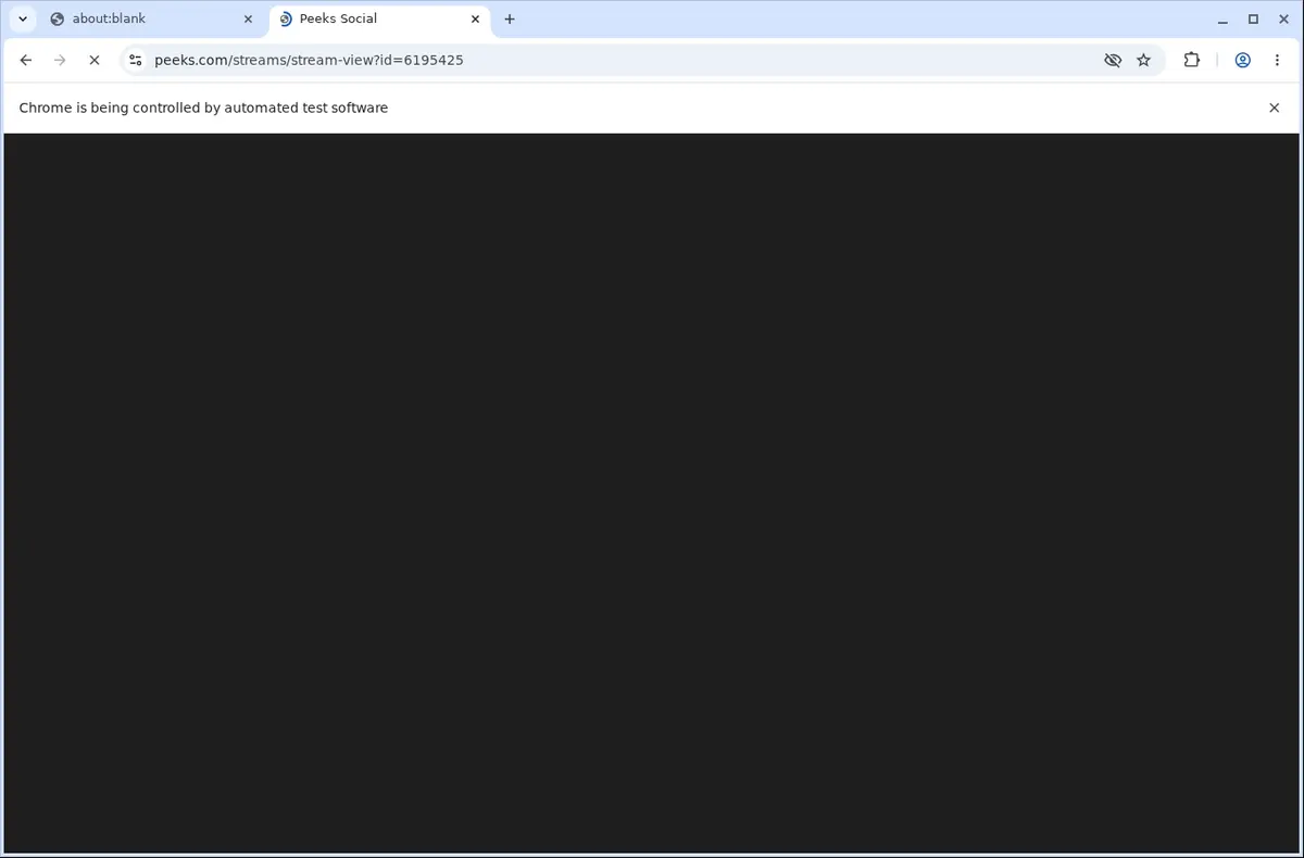 Peeks Downloader page open in the browser