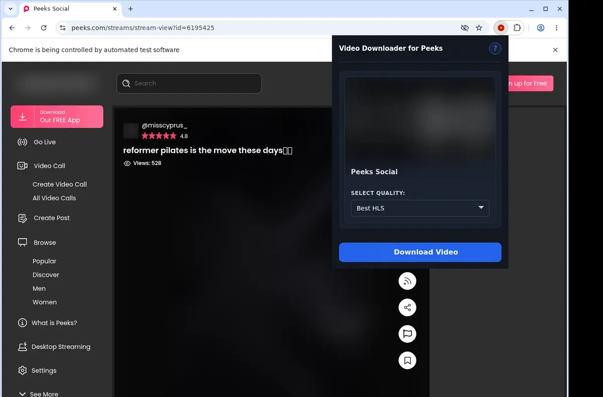 Peeks Downloader showing detected media ready to download