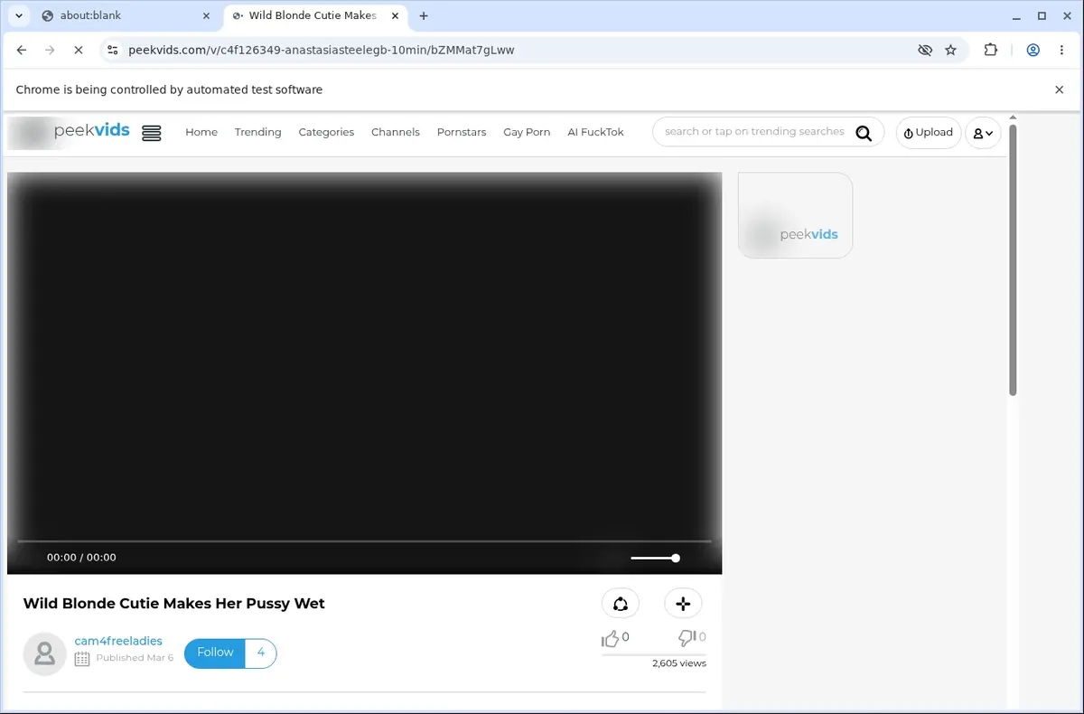 PeekVids Downloader page open in the browser