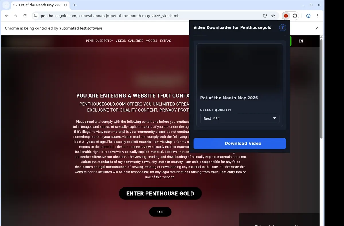 PenthouseGold Video Downloader showing detected media ready to download