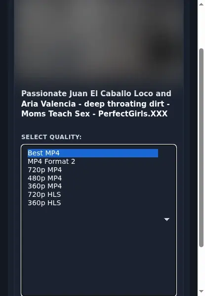 PerfectGirls Downloader format dropdown options