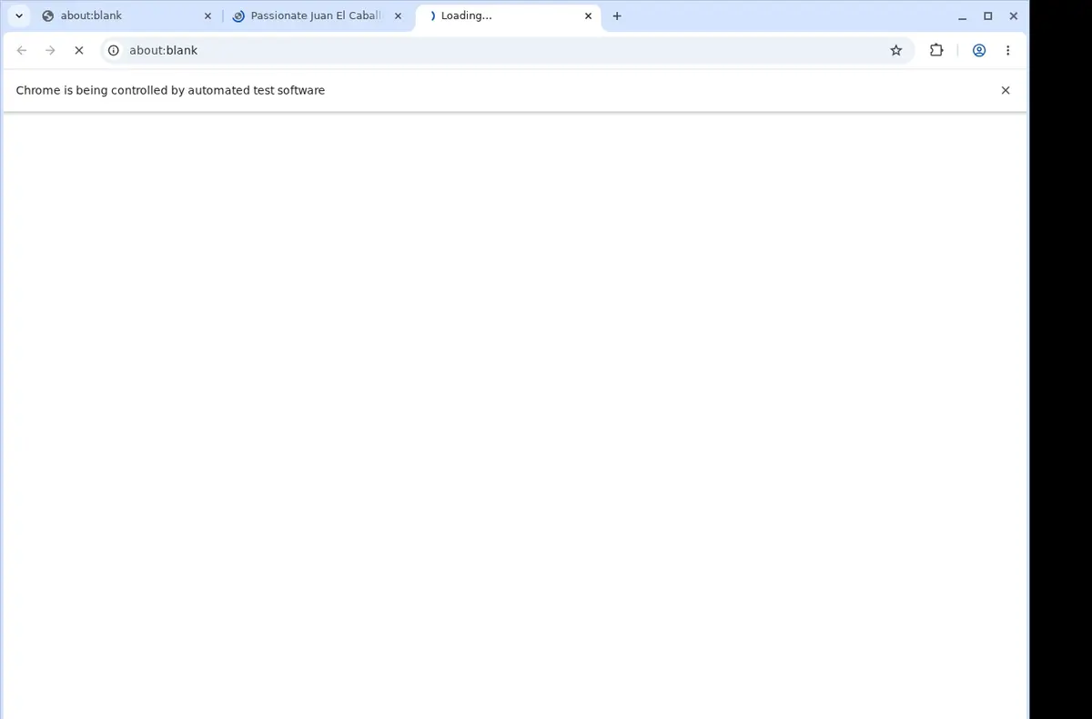 PerfectGirls Downloader page open in the browser