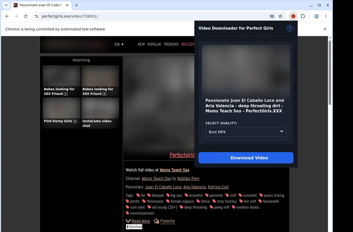 PerfectGirls Downloader showing detected media ready to download