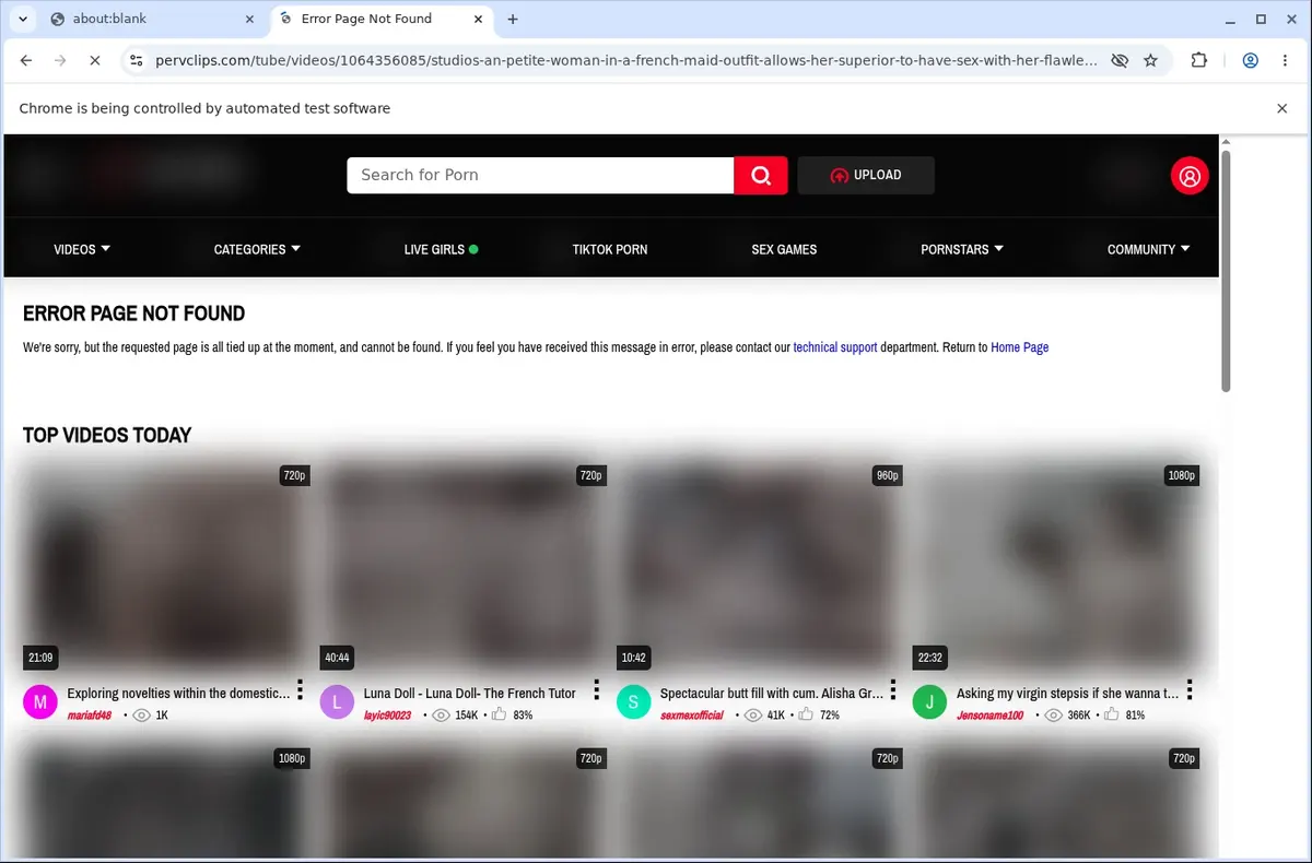 PervClips Video Downloader page open in the browser