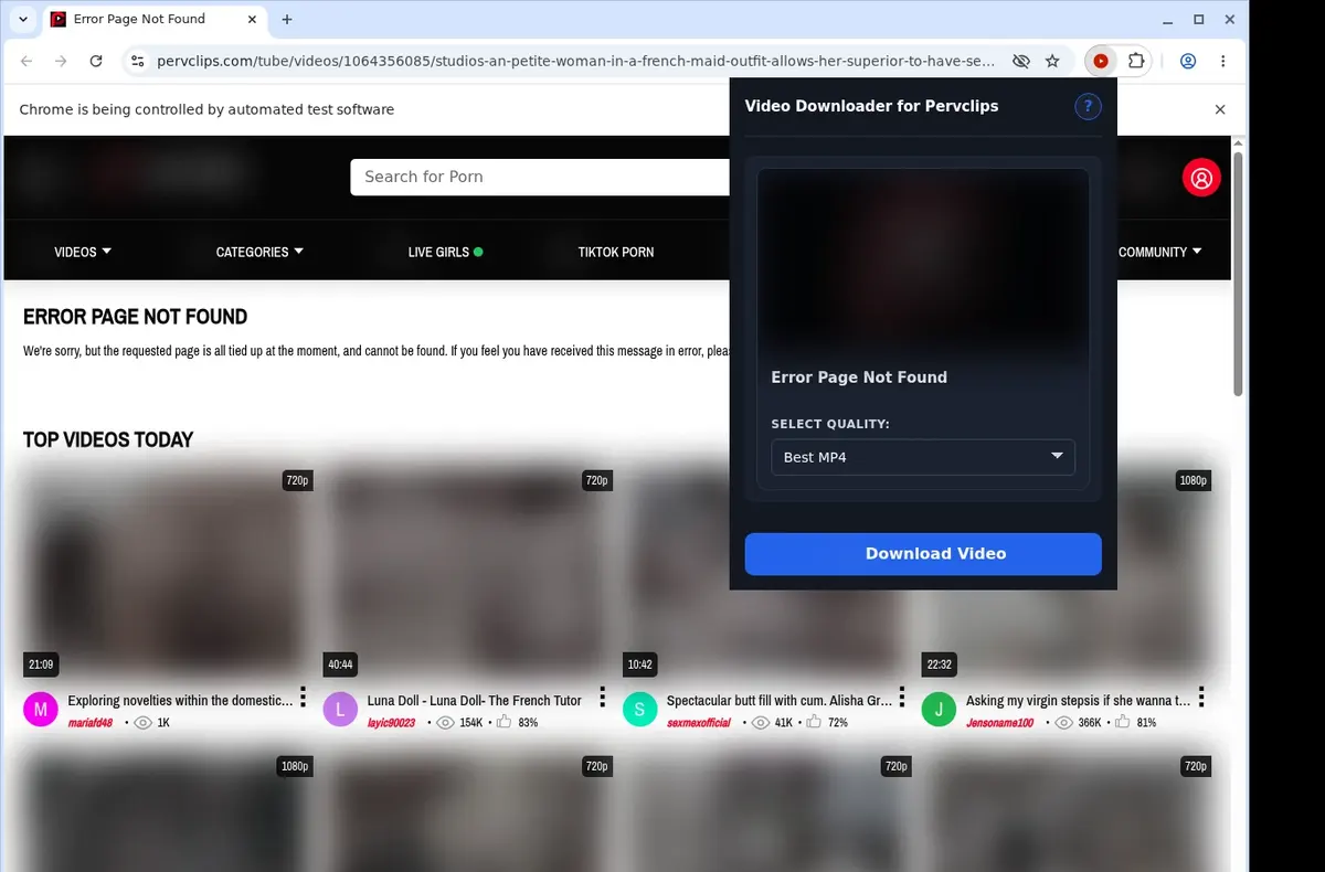 PervClips Video Downloader showing detected media ready to download