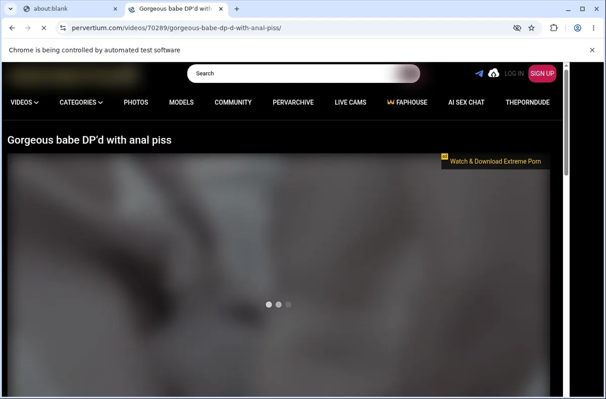 Pervertium Video Downloader page open in the browser