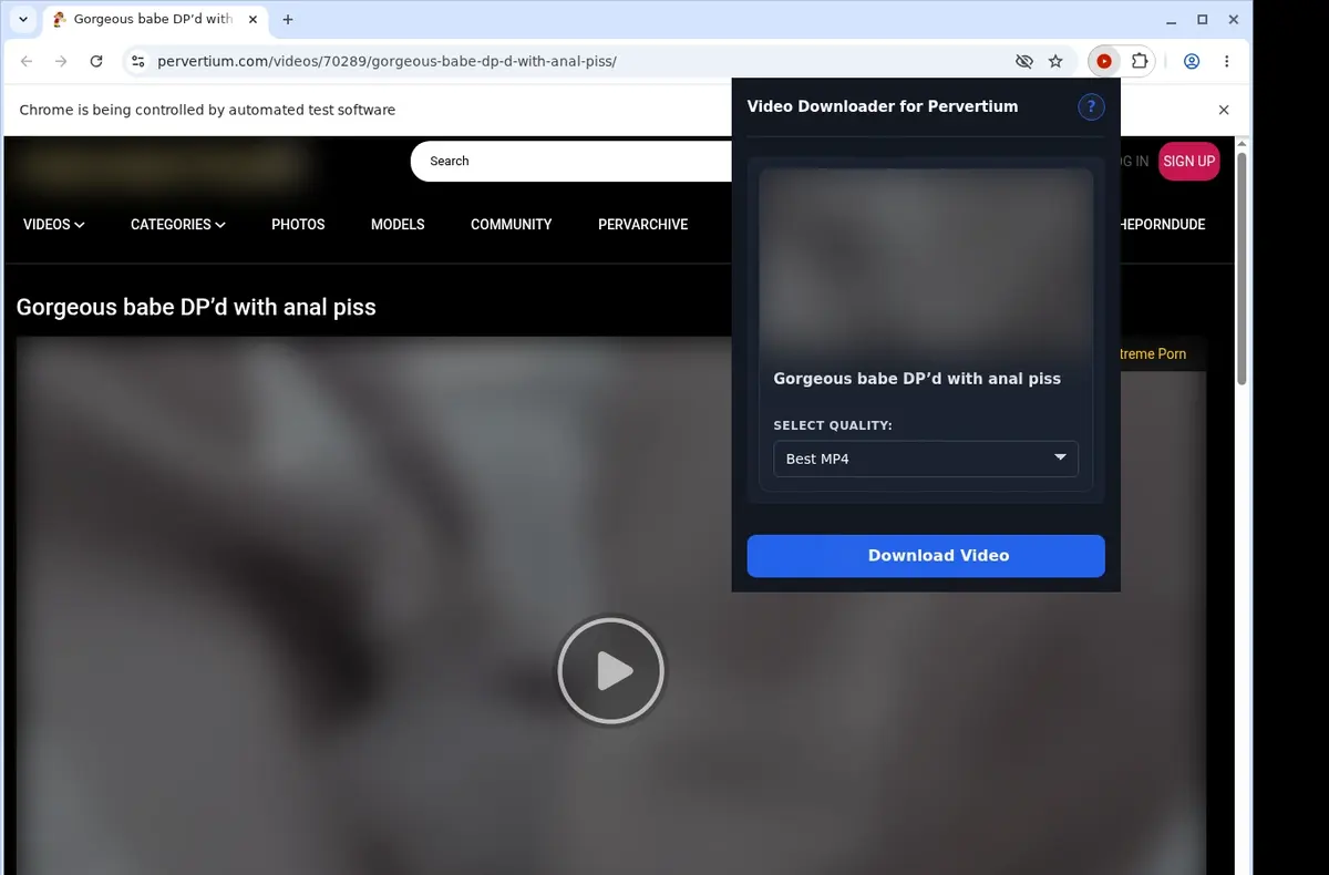 Pervertium Video Downloader showing detected media ready to download