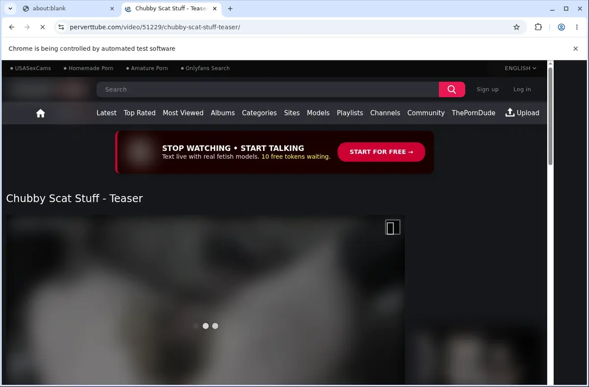 PervertTube Video Downloader page open in the browser