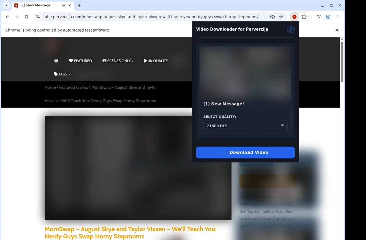 Perverzija Downloader showing detected media ready to download