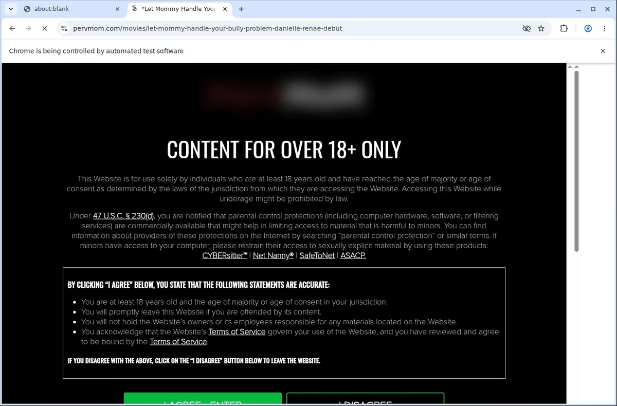 PervMom Video Downloader page open in the browser
