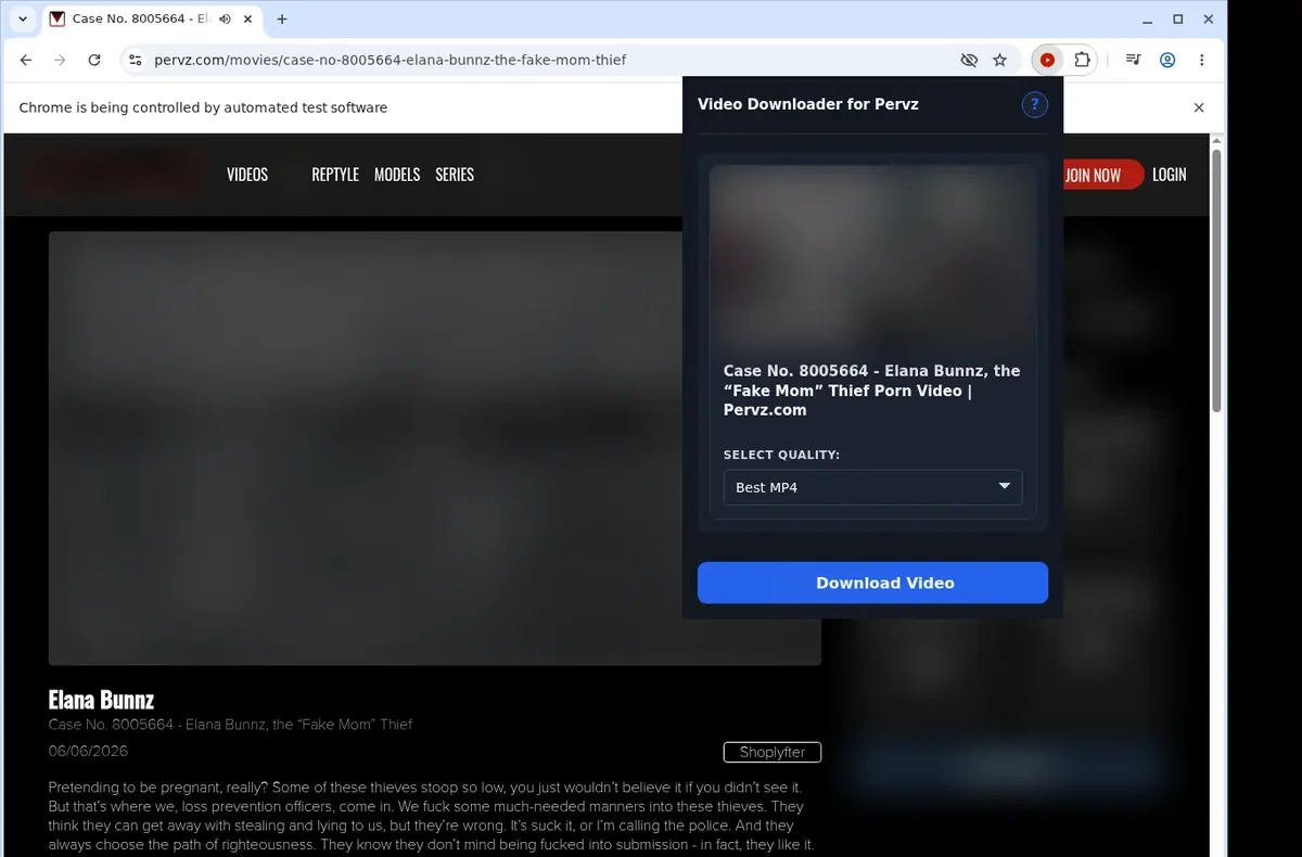 Pervz Video Downloader showing detected media ready to download