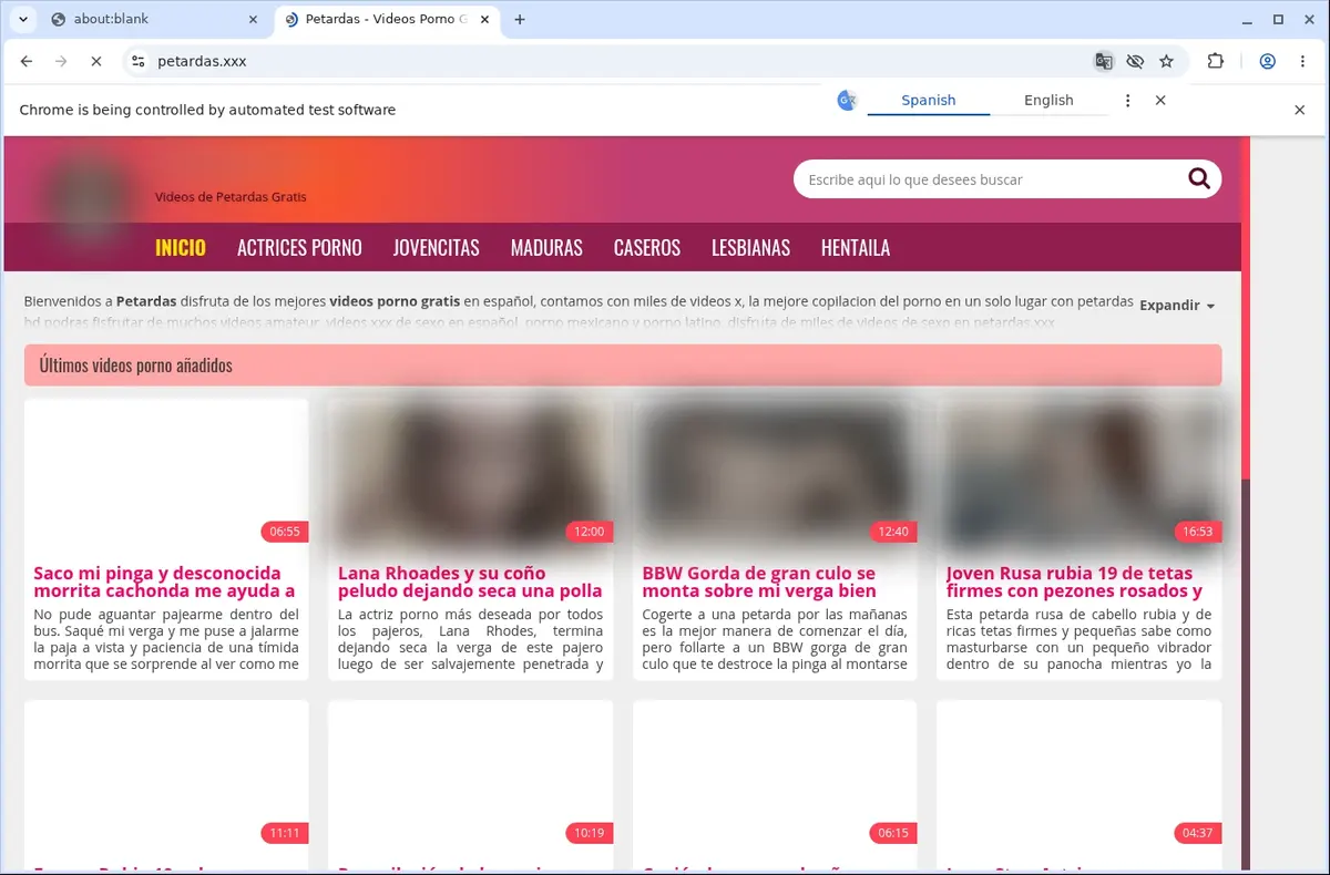 Petardas Downloader page open in the browser